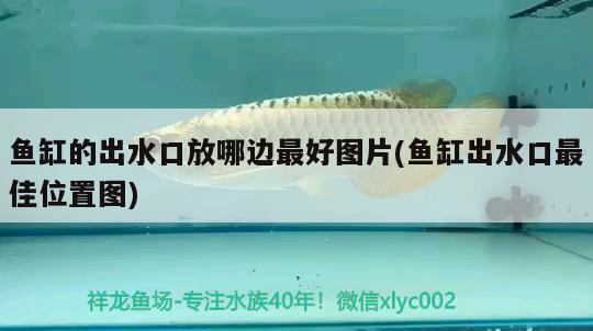 魚缸的出水口放哪邊最好圖片(魚缸出水口最佳位置圖)