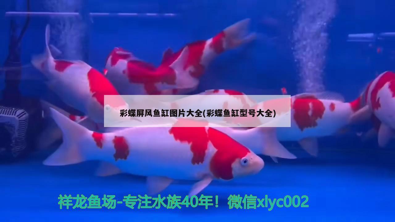 彩蝶屏風(fēng)魚缸圖片大全(彩蝶魚缸型號大全) 錦鯉魚百科