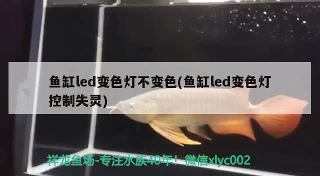 魚缸怎么才能養(yǎng)好魚，有人說唱歌可以長壽