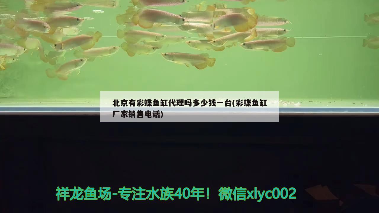 北京有彩蝶魚缸代理嗎多少錢一臺(彩蝶魚缸廠家銷售電話)