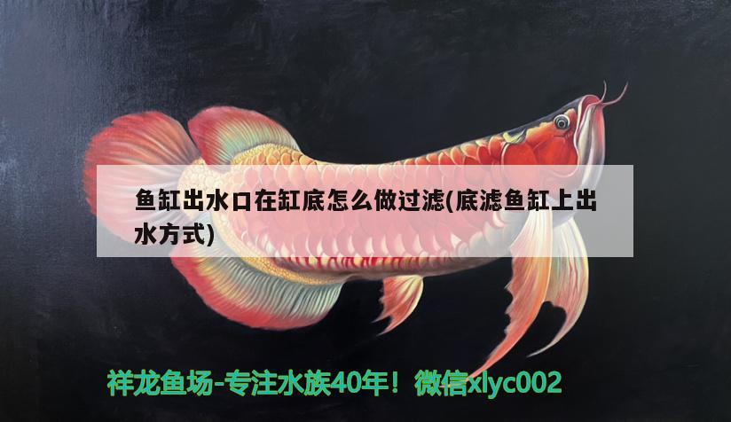 魚缸出水口在缸底怎么做過濾(底濾魚缸上出水方式)