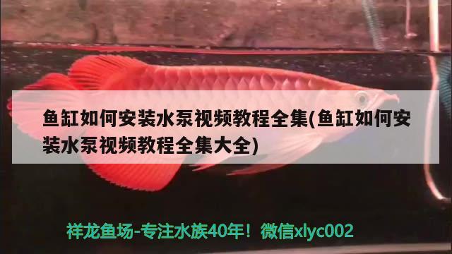 魚缸如何安裝水泵視頻教程全集(魚缸如何安裝水泵視頻教程全集大全)