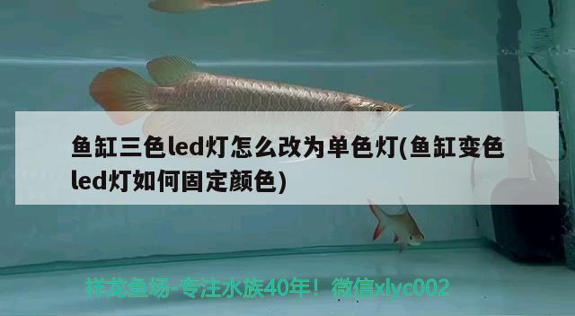 魚(yú)缸水體用多大的泵好(魚(yú)缸水體用多大的泵好用) 紅老虎魚(yú) 第1張