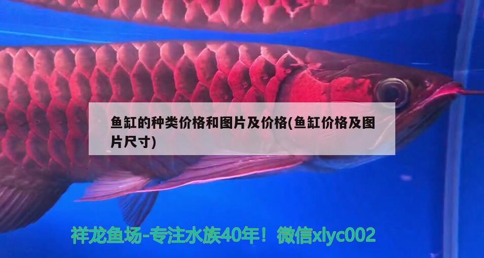 魚(yú)缸的種類(lèi)價(jià)格和圖片及價(jià)格(魚(yú)缸價(jià)格及圖片尺寸) 黑金魟魚(yú)