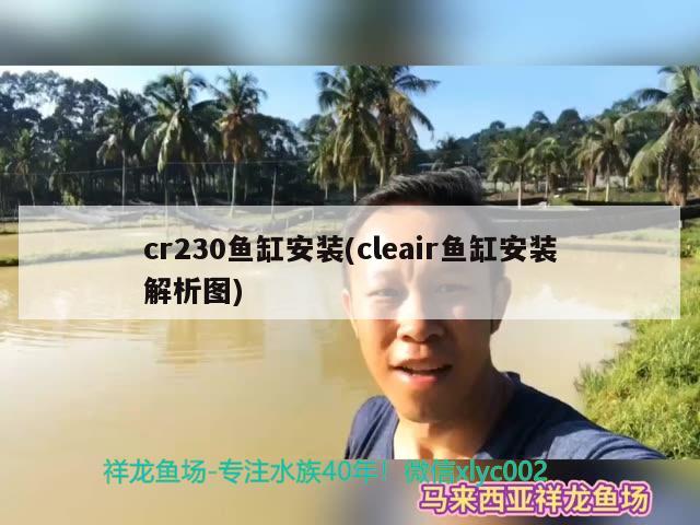 cr230魚缸安裝(cleair魚缸安裝解析圖) 哥倫比亞巨暴魚苗