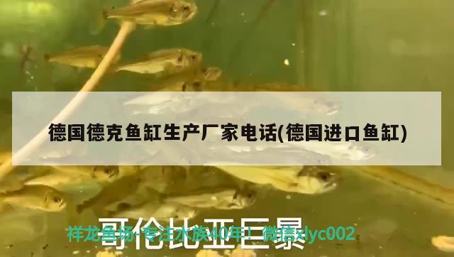 德國德克魚缸生產(chǎn)廠家電話(德國進口魚缸) 巴卡雷龍魚