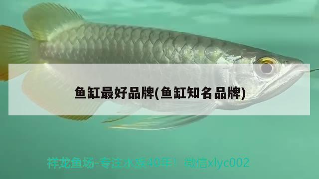 石家莊定制魚(yú)缸找哪家公司更靠譜，蘇州魚(yú)缸定制廠家在哪里