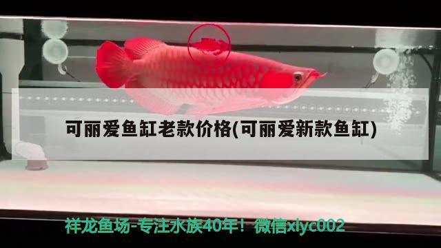 可麗愛魚缸老款價格(可麗愛新款魚缸)