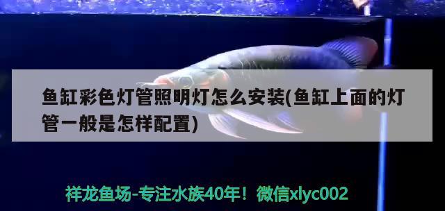 魚缸彩色燈管照明燈怎么安裝(魚缸上面的燈管一般是怎樣配置)