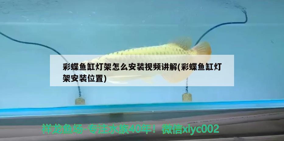 彩蝶魚缸燈架怎么安裝視頻講解(彩蝶魚缸燈架安裝位置) 祥龍水族護(hù)理水