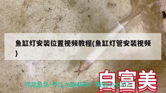 魚缸燈安裝位置視頻教程(魚缸燈管安裝視頻)