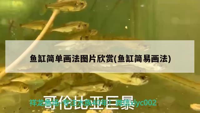 魚缸簡(jiǎn)單畫法圖片欣賞(魚缸簡(jiǎn)易畫法)