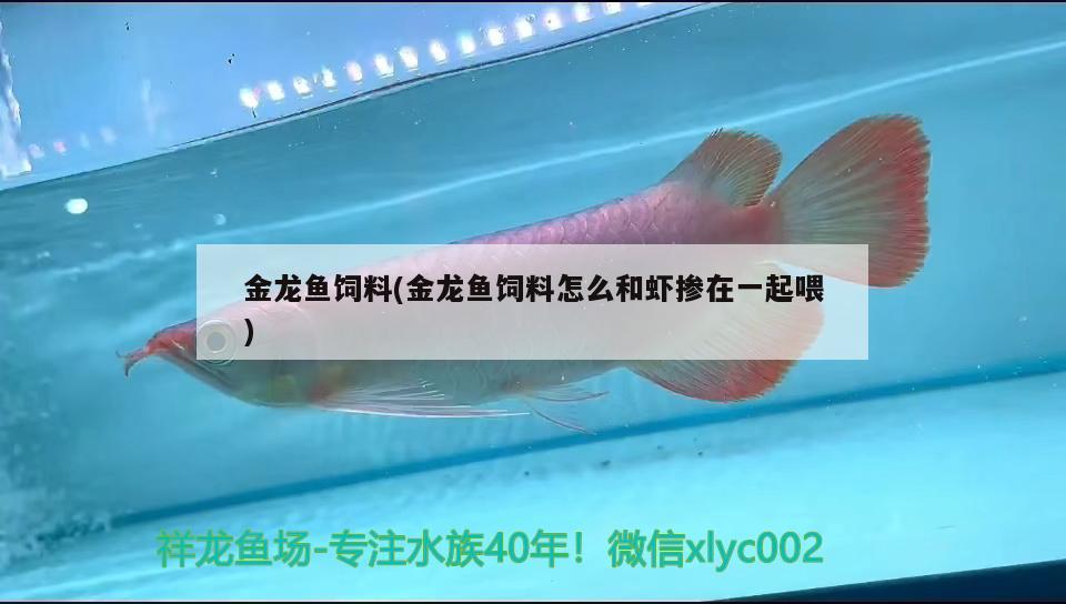 金龍魚(yú)飼料(金龍魚(yú)飼料怎么和蝦摻在一起喂) 哥倫比亞巨暴魚(yú)苗