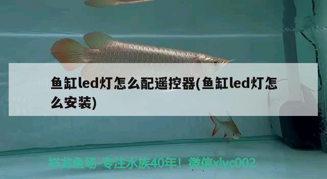 魚缸多高合適風(fēng)水(魚缸的高度風(fēng)水學(xué))