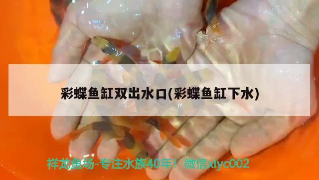 彩蝶魚缸雙出水口(彩蝶魚缸下水)