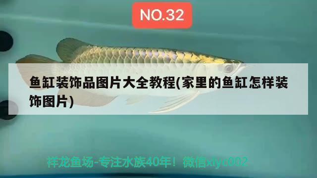 魚缸裝飾品圖片大全教程(家里的魚缸怎樣裝飾圖片)