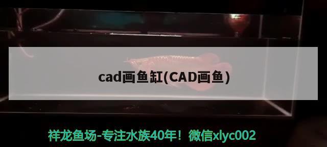 cad畫魚缸(CAD畫魚) 撒旦鴨嘴魚