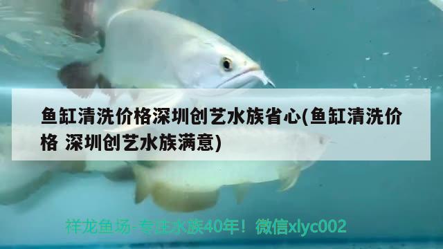 魚缸清洗價格深圳創(chuàng)藝水族省心(魚缸清洗價格深圳創(chuàng)藝水族滿意)