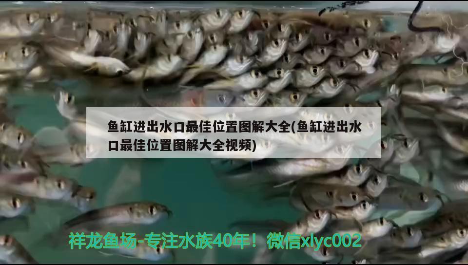 魚缸氧氣泵安裝視頻，魚缸水泵安裝視頻 魚缸水泵 第2張