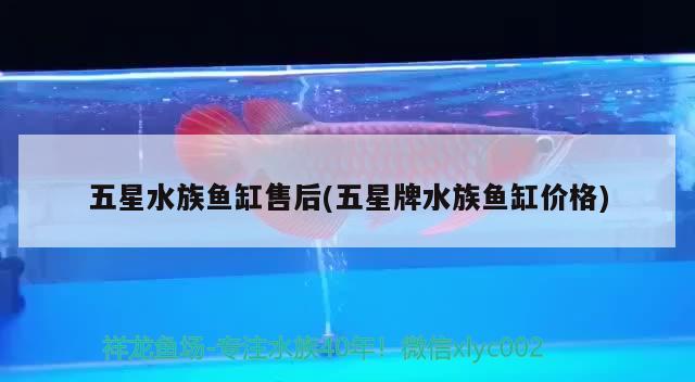 五星水族魚缸售后(五星牌水族魚缸價格) 眼斑魚