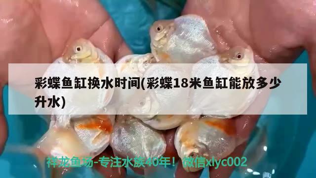 彩蝶魚缸換水時間(彩蝶18米魚缸能放多少升水) 虎斑恐龍魚