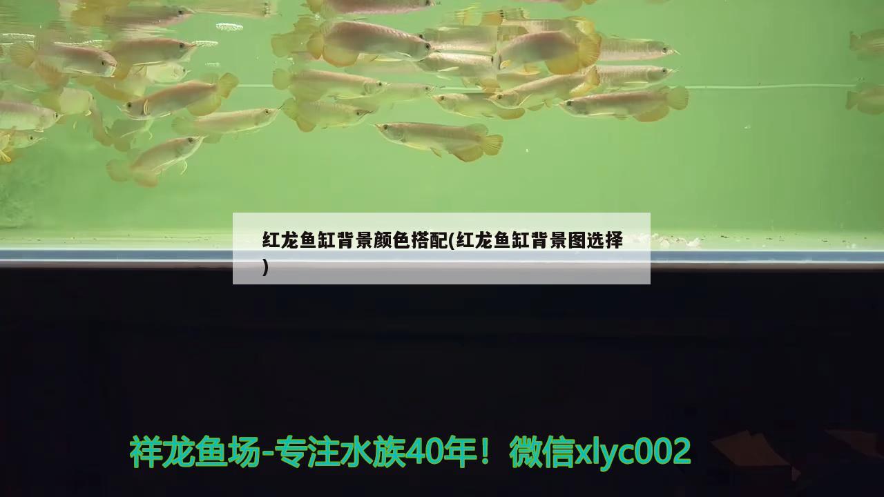 水缸制作魚(yú)缸教程視頻全集 