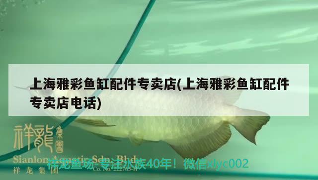 上海雅彩魚缸配件專賣店(上海雅彩魚缸配件專賣店電話)