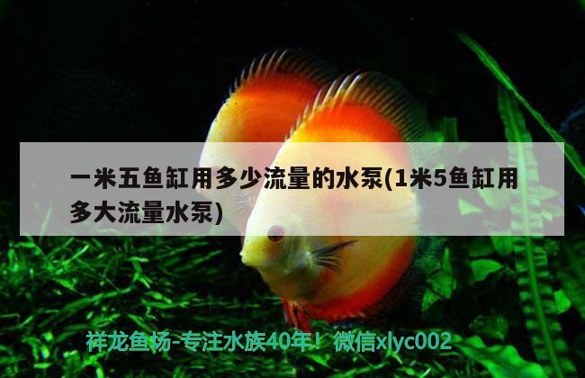 一米五魚(yú)缸用多少流量的水泵(1米5魚(yú)缸用多大流量水泵) 魚(yú)缸水質(zhì)穩(wěn)定劑