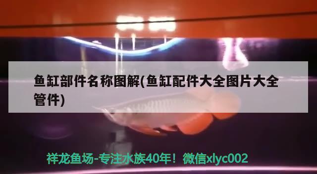 魚缸部件名稱圖解(魚缸配件大全圖片大全管件) 魚缸等水族設備