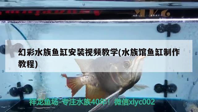 幻彩水族魚缸安裝視頻教學(xué)(水族館魚缸制作教程) 黑白雙星魚