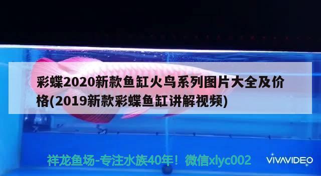 彩蝶2020新款魚(yú)缸火鳥(niǎo)系列圖片大全及價(jià)格(2019新款彩蝶魚(yú)缸講解視頻) 水族世界