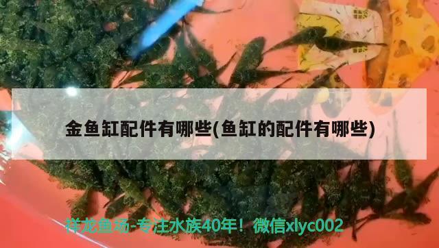 金魚缸配件有哪些(魚缸的配件有哪些) 水族維護(hù)服務(wù)（上門）