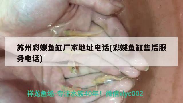 馬來西亞博特拉大學(xué)博士幾年(馬來西亞博特拉大學(xué)博士含金量) 博特水族 第3張