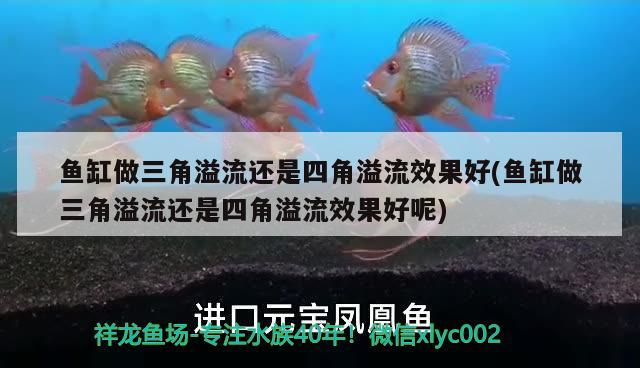 魚缸做三角溢流還是四角溢流效果好(魚缸做三角溢流還是四角溢流效果好呢) 觀賞魚企業(yè)目錄