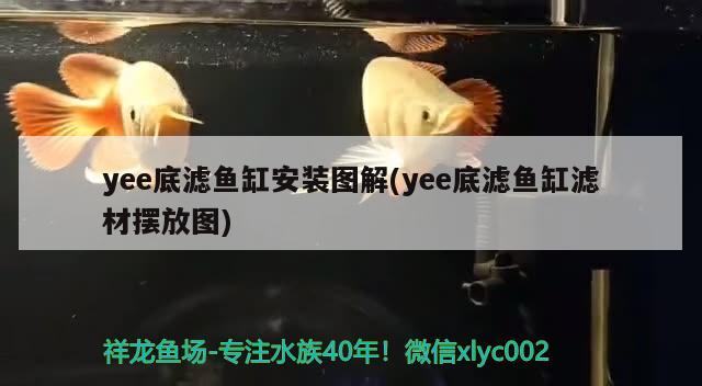 yee底濾魚缸安裝圖解(yee底濾魚缸濾材擺放圖) yee