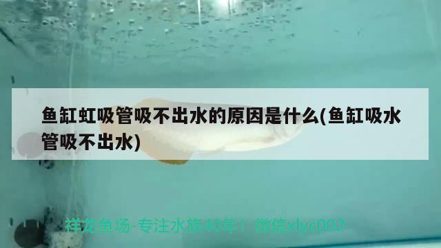 魚缸虹吸管吸不出水的原因是什么(魚缸吸水管吸不出水) 白化火箭