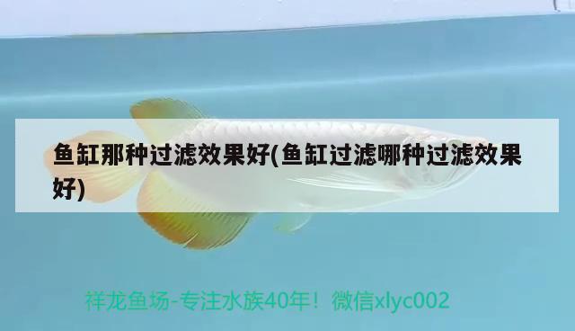 魚(yú)缸那種過(guò)濾效果好(魚(yú)缸過(guò)濾哪種過(guò)濾效果好)