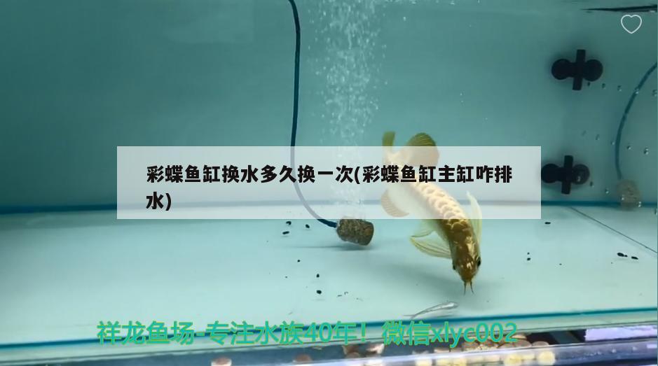 2米的魚缸用多長(zhǎng)的燈(2米的魚缸做多寬) 龍魚芯片掃碼器 第1張