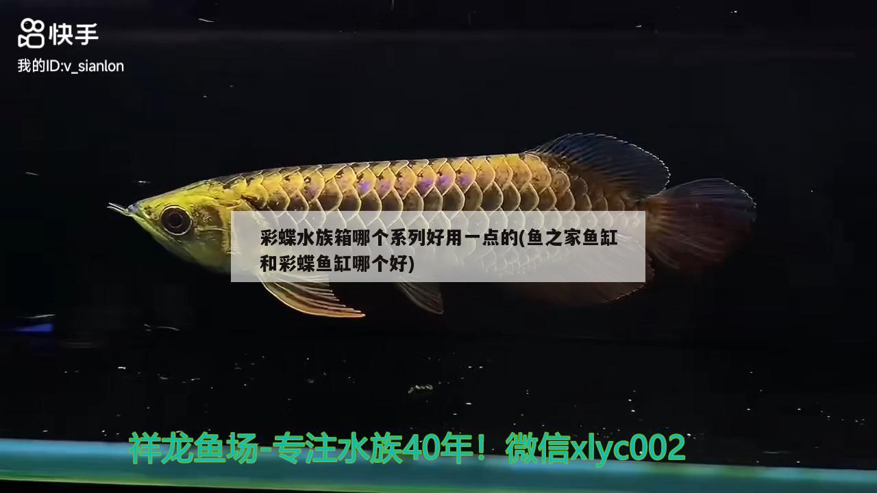 彩蝶水族箱哪個(gè)系列好用一點(diǎn)的(魚之家魚缸和彩蝶魚缸哪個(gè)好)