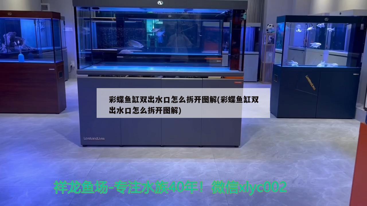 彩蝶魚缸雙出水口怎么拆開圖解(彩蝶魚缸雙出水口怎么拆開圖解) 肺魚