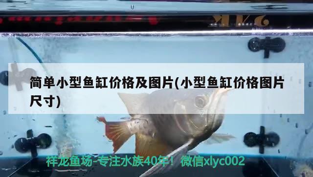 簡單小型魚缸價格及圖片(小型魚缸價格圖片尺寸) 水族世界