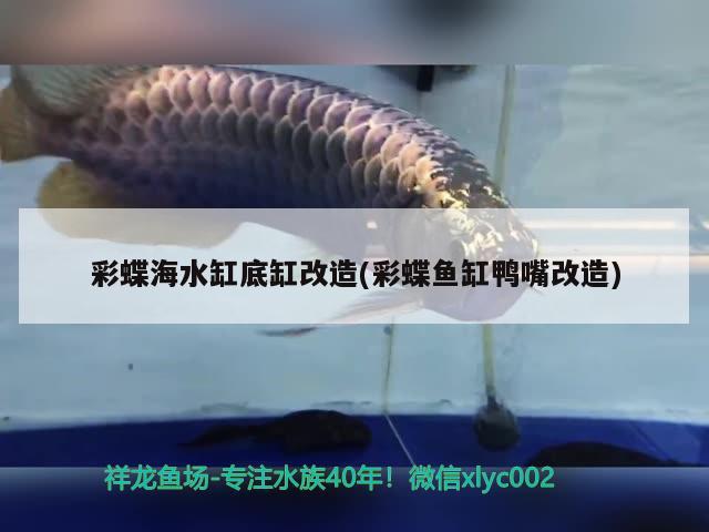 彩蝶海水缸底缸改造(彩蝶魚缸鴨嘴改造) 殺菌消毒設(shè)備 第2張