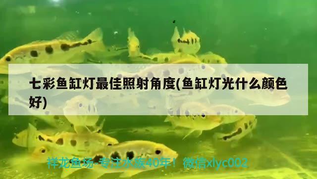 七彩魚缸燈最佳照射角度(魚缸燈光什么顏色好) 廣州水族器材濾材批發(fā)市場(chǎng) 第2張