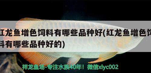 太原魚缸定做廠家直銷價(jià)格：太原訂做魚缸廠家