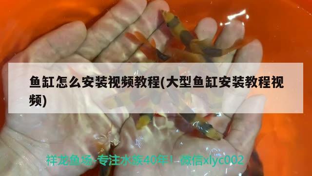 紹興觀賞魚批發(fā)市場地址電話多少：紹興魚批發(fā)市場在哪