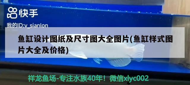 魚缸設(shè)計圖紙及尺寸圖大全圖片(魚缸樣式圖片大全及價格) 黃金達(dá)摩魚 第2張