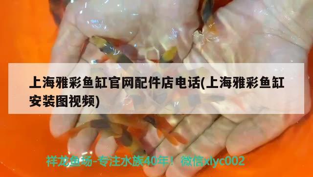 上海雅彩魚缸官網(wǎng)配件店電話(上海雅彩魚缸安裝圖視頻) 潛水泵 第2張