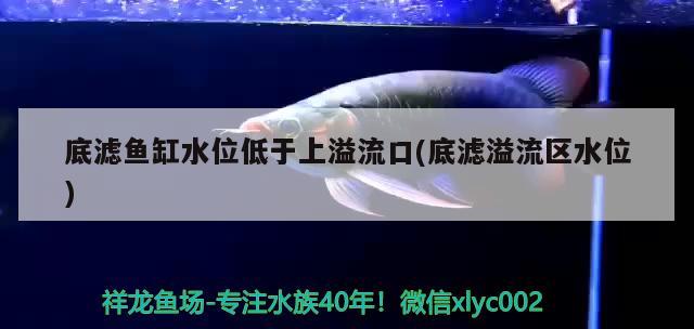 底濾魚缸水位低于上溢流口(底濾溢流區(qū)水位)