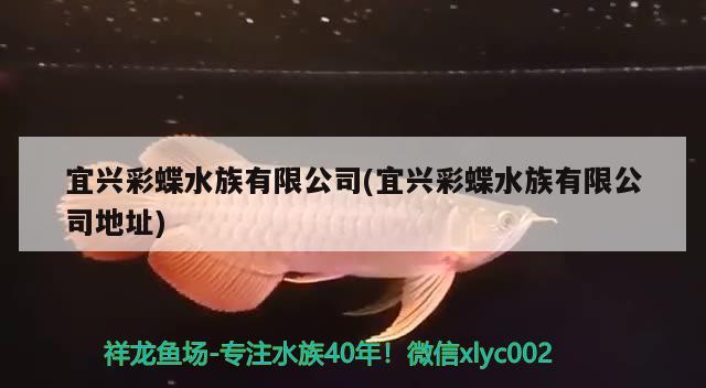 自己制作魚(yú)缸過(guò)濾器視頻教程：自己做魚(yú)缸過(guò)濾器視頻教程 廣州水族批發(fā)市場(chǎng) 第2張