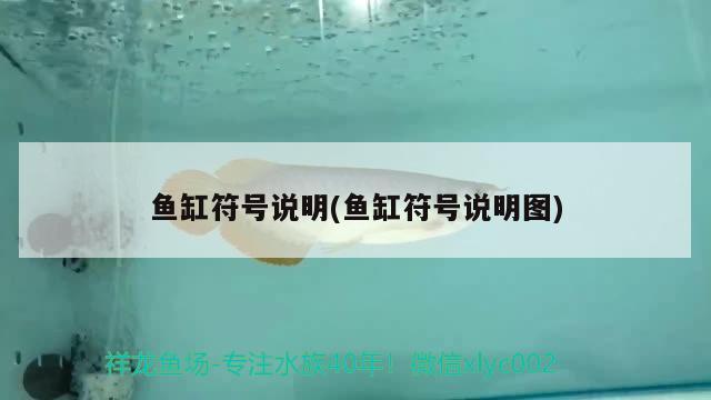 水族品牌十大名牌排名圖片：水族品牌十大名牌排名圖片